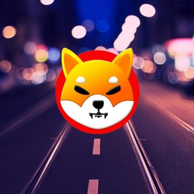 شیبا اینو با وجود کاهش به 0.0000091 دلار، 96٪ فشار خرید را جذب کرد