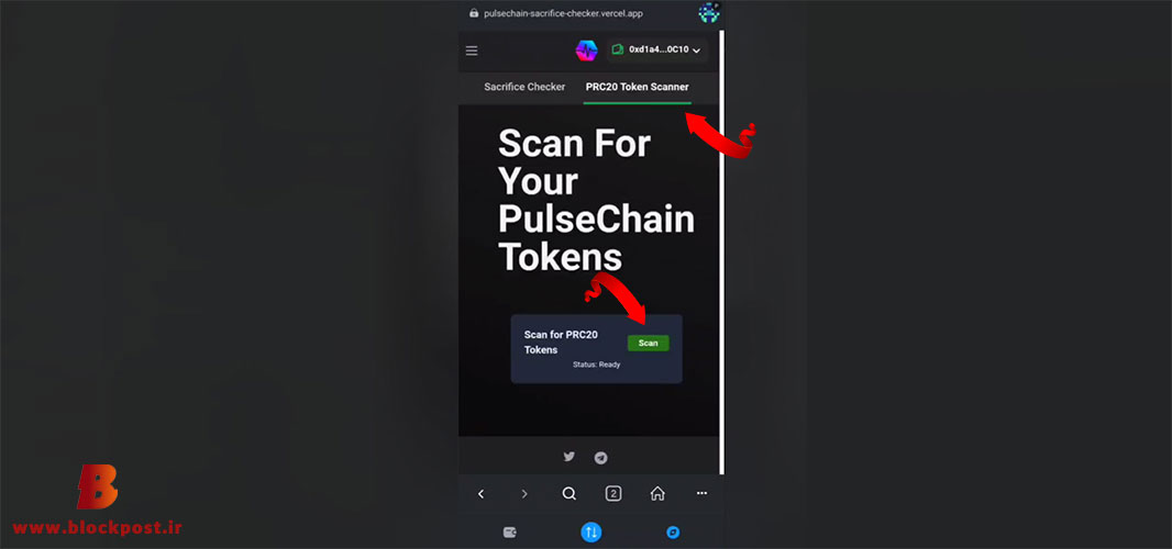 پالس‌چین چیست؟ آموزش دریافت بزرگ‌ترین ایردراپ تاریخ رمزارزها