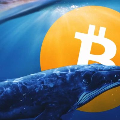 فعال شدن یک کیف‌پول بیت‌کوین بعد از شش سال!