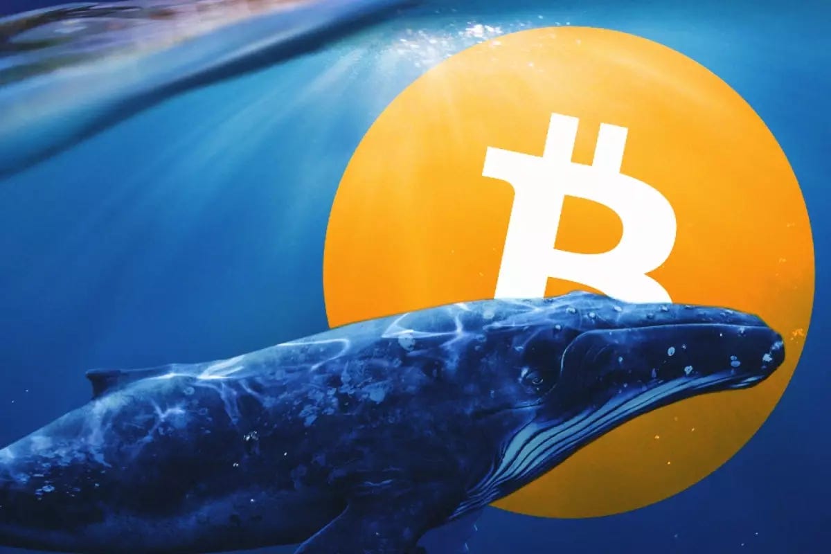 فعال شدن یک کیف‌پول بیت‌کوین بعد از شش سال!