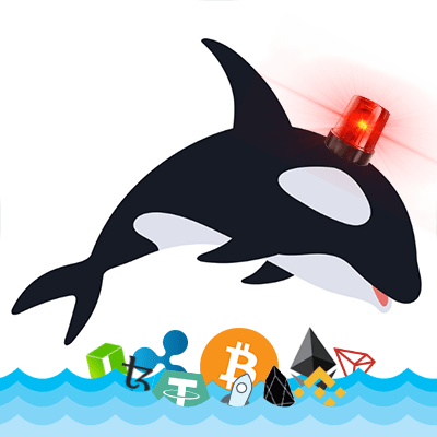 whale_alert@