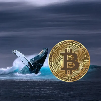 نهنگ بیت‌کوین 600 میلیون دلار به بایننس واریز کرد!