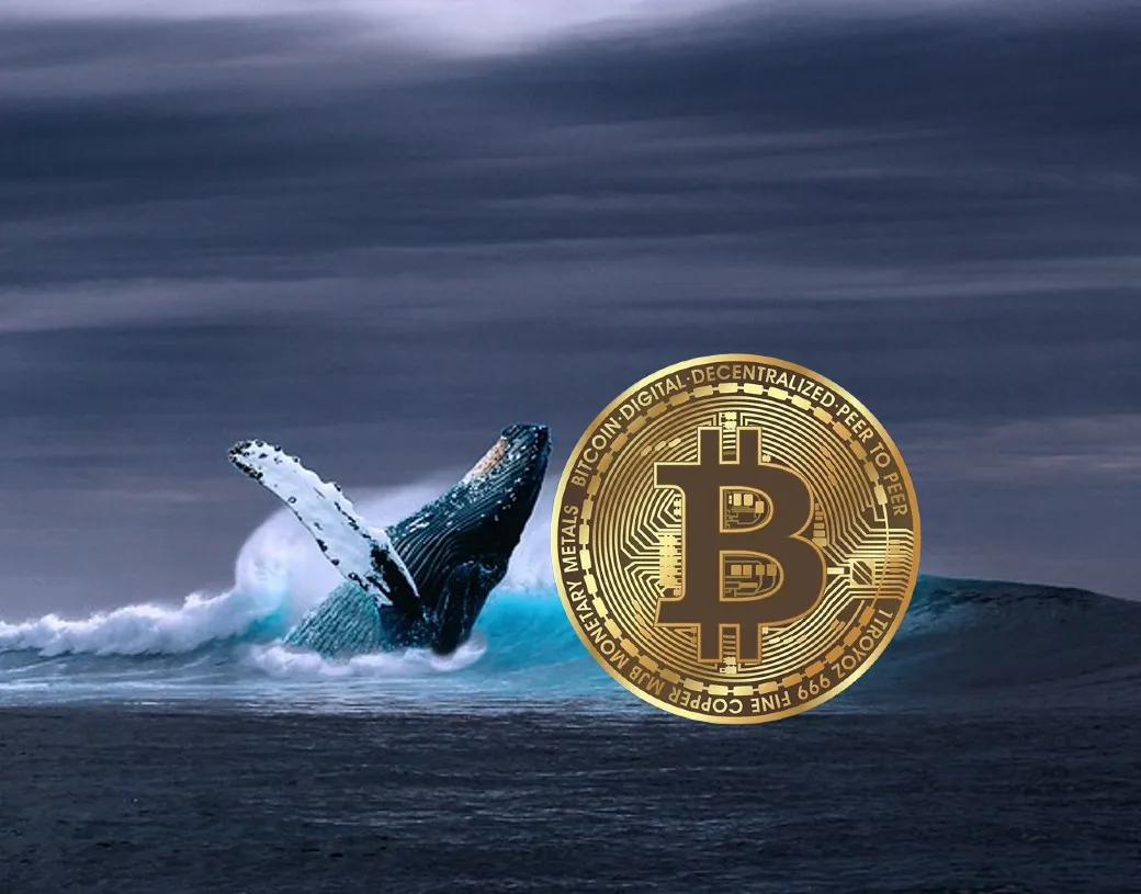 نهنگ بیت‌کوین 600 میلیون دلار به بایننس واریز کرد!