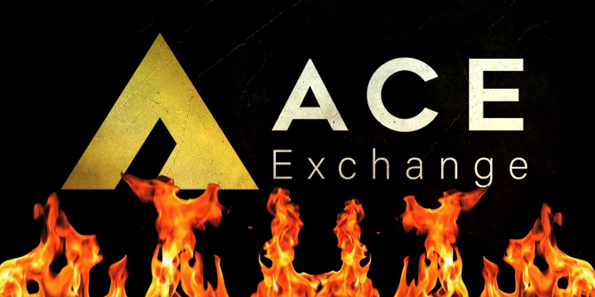 بنیان گذار صرافی ACE متهم به کلاهبرداری 10.7میلیون دلاری شد!