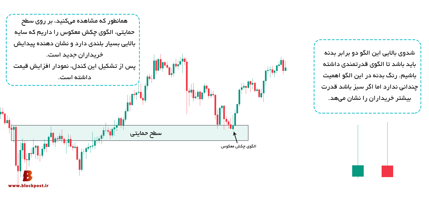 ظاهر چکش وارونه یا معکوس
