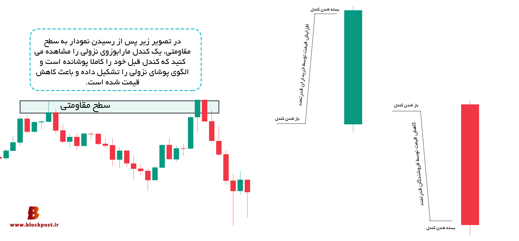 رفتار شناسی و مفهوم کندل مارابوزو