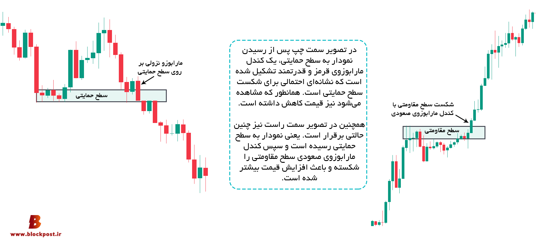 انواع مارابوزو
