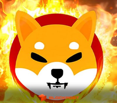 افزایش 500 درصدی نرخ توکن سوزی شیبا علیرغم ریزش اخیر SHIB
