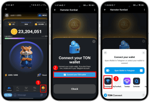 انتخاب گزینه Connect your TON wallet