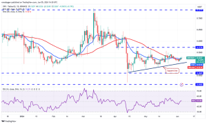 چارت روزانه ریپل (XRP)