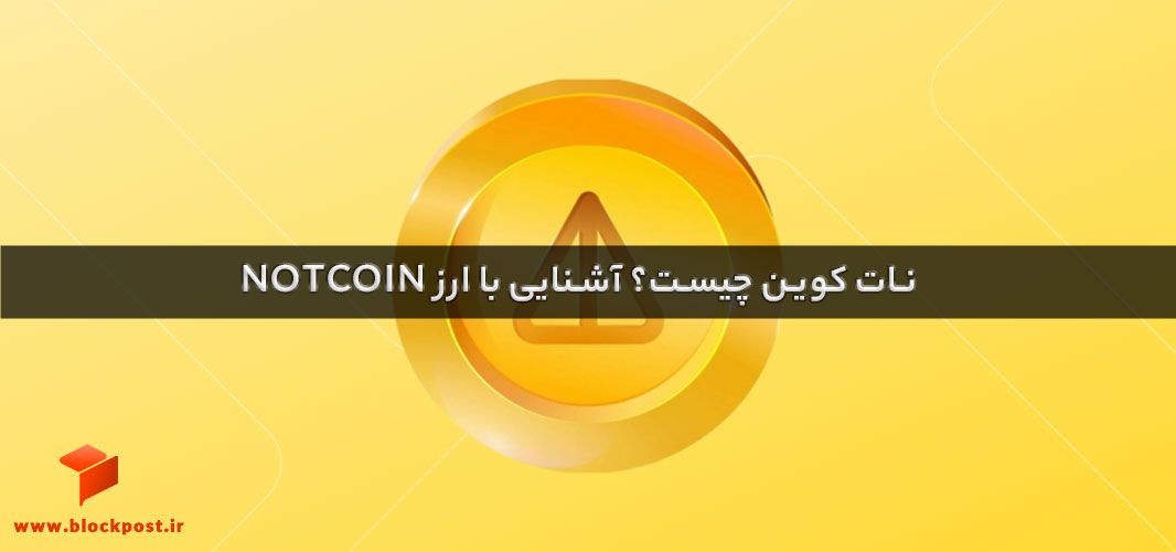 نات کوین چیست