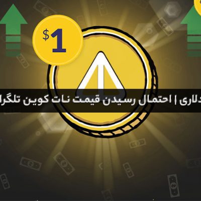 نات کوین یک دلاری