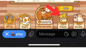 تب Feed بازی کتیزن