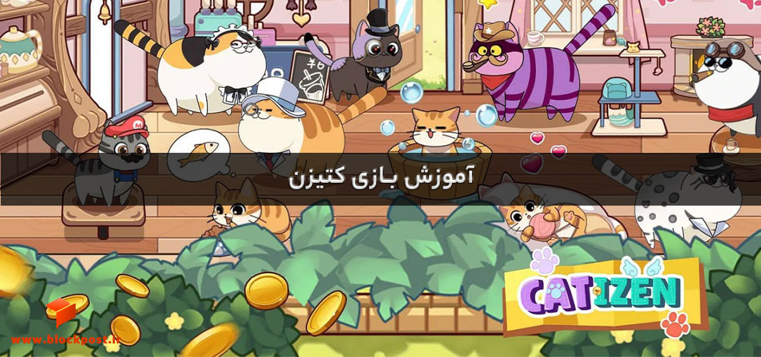 آموزش بازی کتیزن