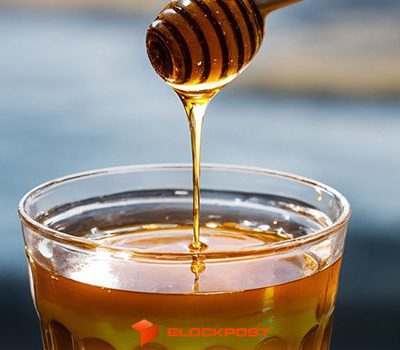 هشدار: پروژه ۳۱ میلیون دلاری نیرو در اتریوم، تله‌ای برای سرمایه‌گذاران