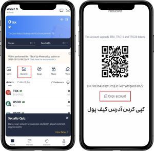 آموزش واریز در ترون لینک
