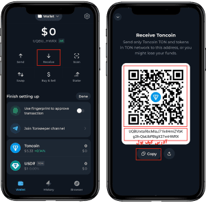واریز ارز دیجیتال به تون کیپر