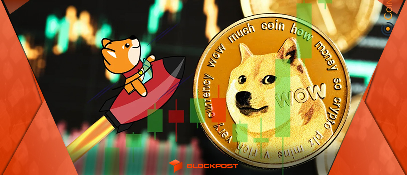 آیا دوج کوین به 0.37 دلار می رسد؟ بررسی احتمال پامپ DOGE در انتهای اکتبر!
