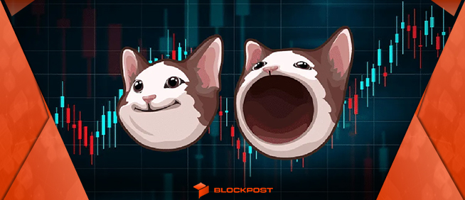 جهش 11 درصدی پاپ کت (POPCAT) | خودنمایی بازیگر جدید در دنیای میم کوین ها!