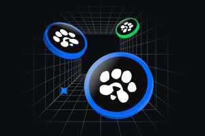 ایردراپ پاز و لیست شدن ارز Paws