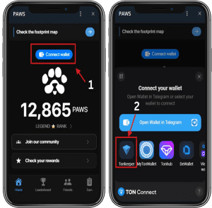 آموزش اتصال کیف پول تون کیپر به ربات پاز (PAWS)