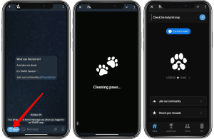 آموزش نحوه شرکت در ایردراپ پاز برای کسب بیشتر توکن PAWS