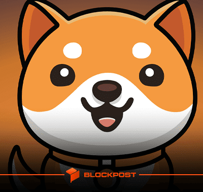 ارز بیبی دوج ATH زد! رشد 160 درصدی BABYDOGE در یک هفته گذشته