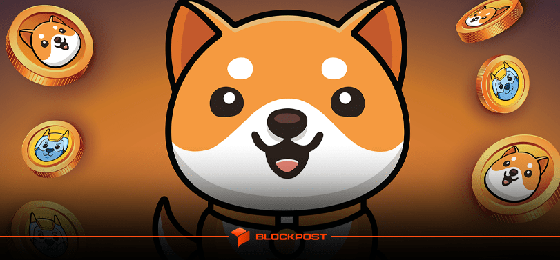 ارز بیبی دوج ATH زد! رشد 160 درصدی BABYDOGE در یک هفته گذشته