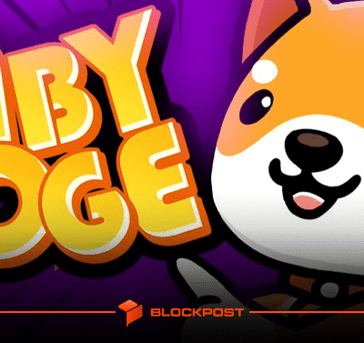 انفجار 70 درصدی بیبی دوج (BABYDOGE) در راستا توییت ایلان ماسک