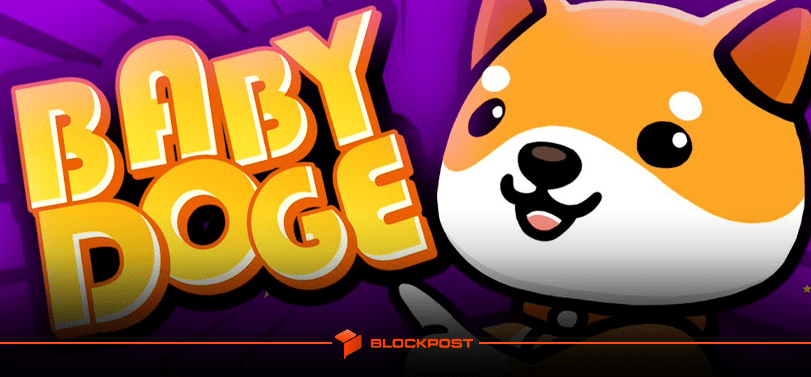 انفجار 70 درصدی بیبی دوج (BABYDOGE) در راستا توییت ایلان ماسک