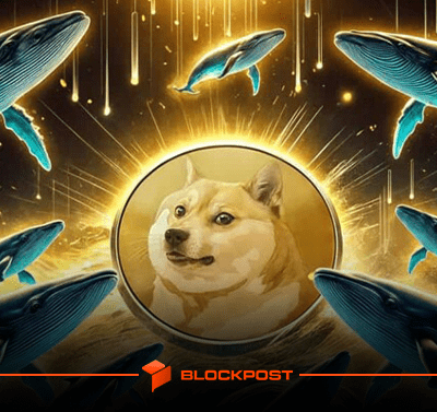 خرید 160 میلیون دوج کوین توسط نهنگ ها| آیا افزایش قیمت DOGE در راه است؟