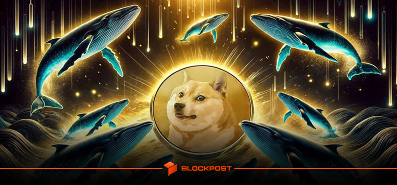خرید 160 میلیون دوج کوین توسط نهنگ ها| آیا افزایش قیمت DOGE در راه است؟