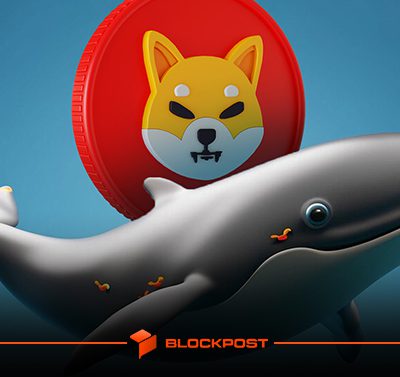 بزرگترین فروش شیبا اینو از سال 2022! خروج 426 میلیون دلار از بازار ارز دیجیتال shib