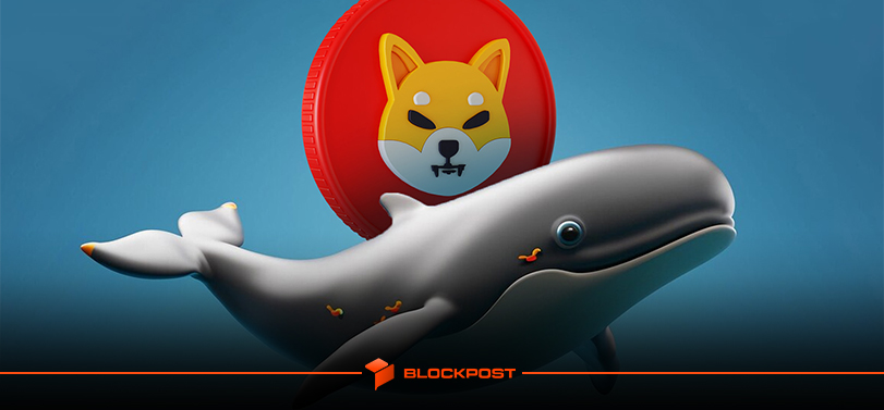 بزرگترین فروش شیبا اینو از سال 2022! خروج 426 میلیون دلار از بازار ارز دیجیتال shib