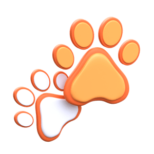 ایردراپ پاز (PAWS)