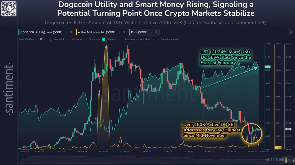 نمودارهای تعداد آدرس‌های فعال و تعداد هولدرهایی با بیش از 1 میلیون DOGE در کنار نمودار قیمت