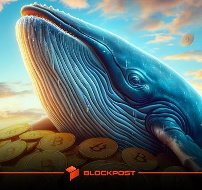 نهنگ‌های بیت‌کوین 65,000 واحد خریدند؛ بازار در انتظار روند صعودی؟