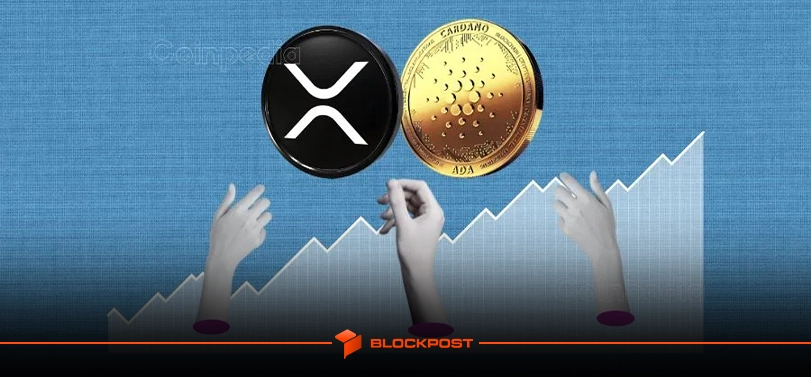 ادغام ریپل با کاردانو و ایردراپ Midnight برای دارندگان XRP تایید شد!