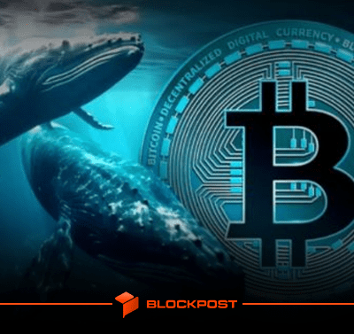 افزایش تعداد کیف پول های نهنگ بیت کوین| آیا رشد BTC نزدیک است؟