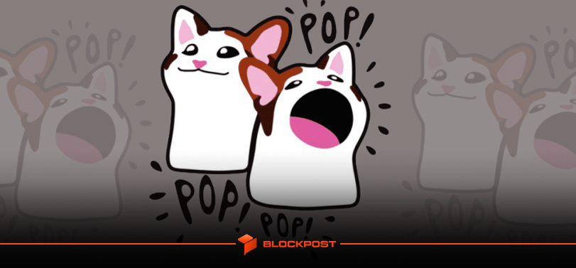 بررسی احتمال افزایش قیمت ارز پاپ کت (POPCAT) در بولران 2025؟