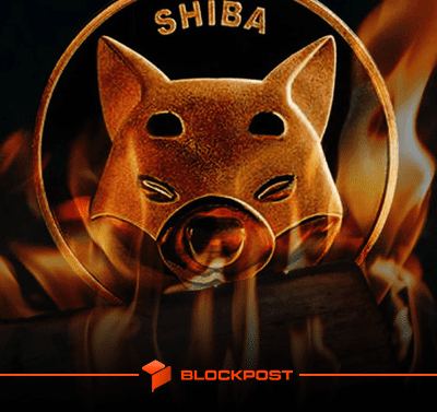 افزایش 985 درصدی نرخ توکن سوزی شیبا | پیش بینی رشد قیمت SHIB تا 70 درصد!
