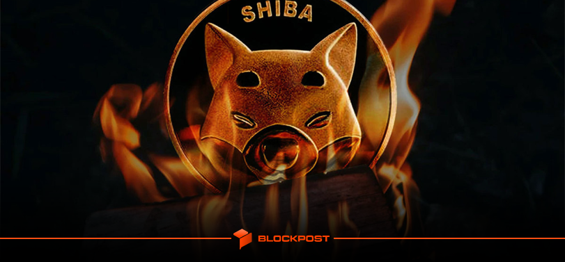 افزایش 985 درصدی نرخ توکن سوزی شیبا | پیش بینی رشد قیمت SHIB تا 70 درصد!