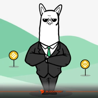 توقف کار آلپاکا فایننس