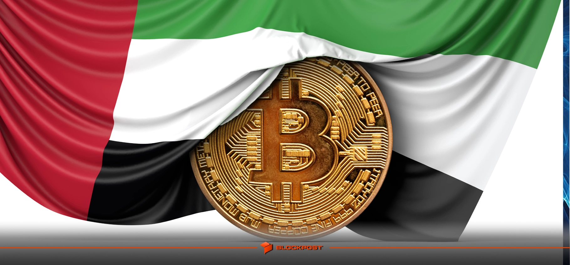 فین فلوئنسرها