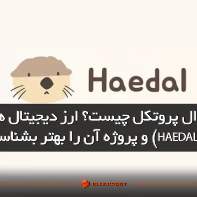 هیدال پروتکل