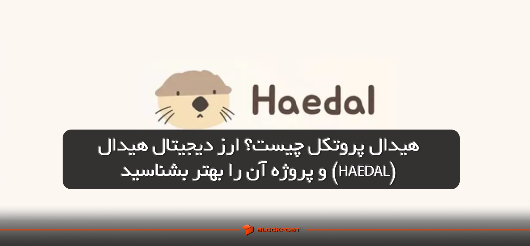 هیدال پروتکل