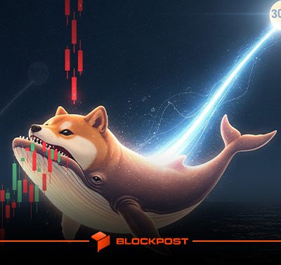 تحلیل ارز شیبا اینو؛ تکرار الگوی صعودی تاریخی همزمان با خرید تریلیونی نهنگ ها!