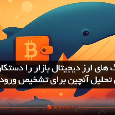 نهنگ های ارز دیجیتال