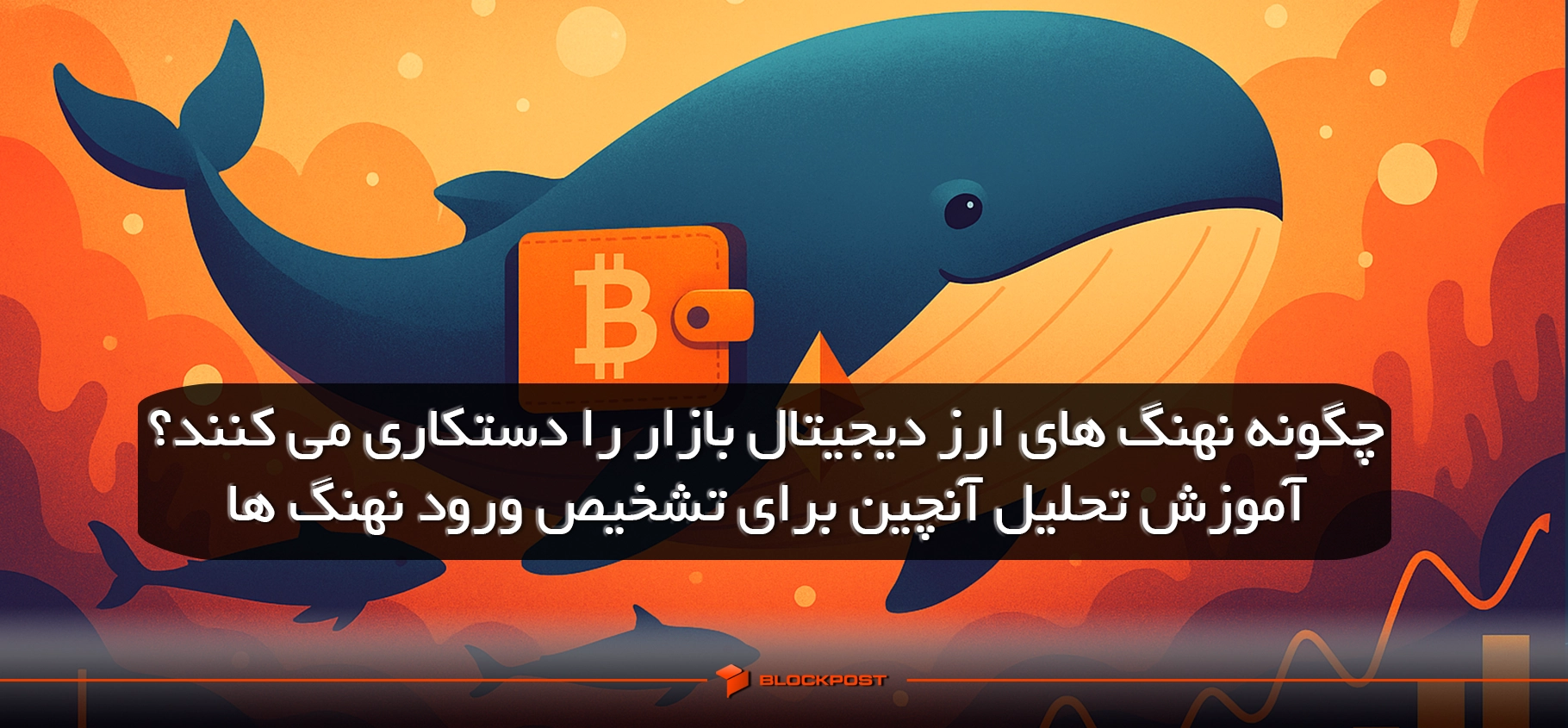 نهنگ های ارز دیجیتال