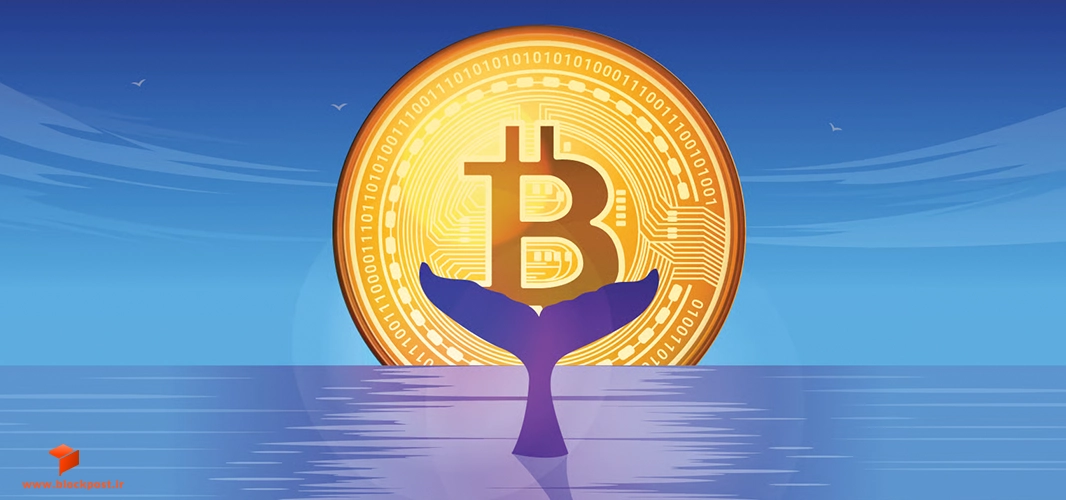 تاثیر نهنگ ها بر سقوط قیمت بیت کوین